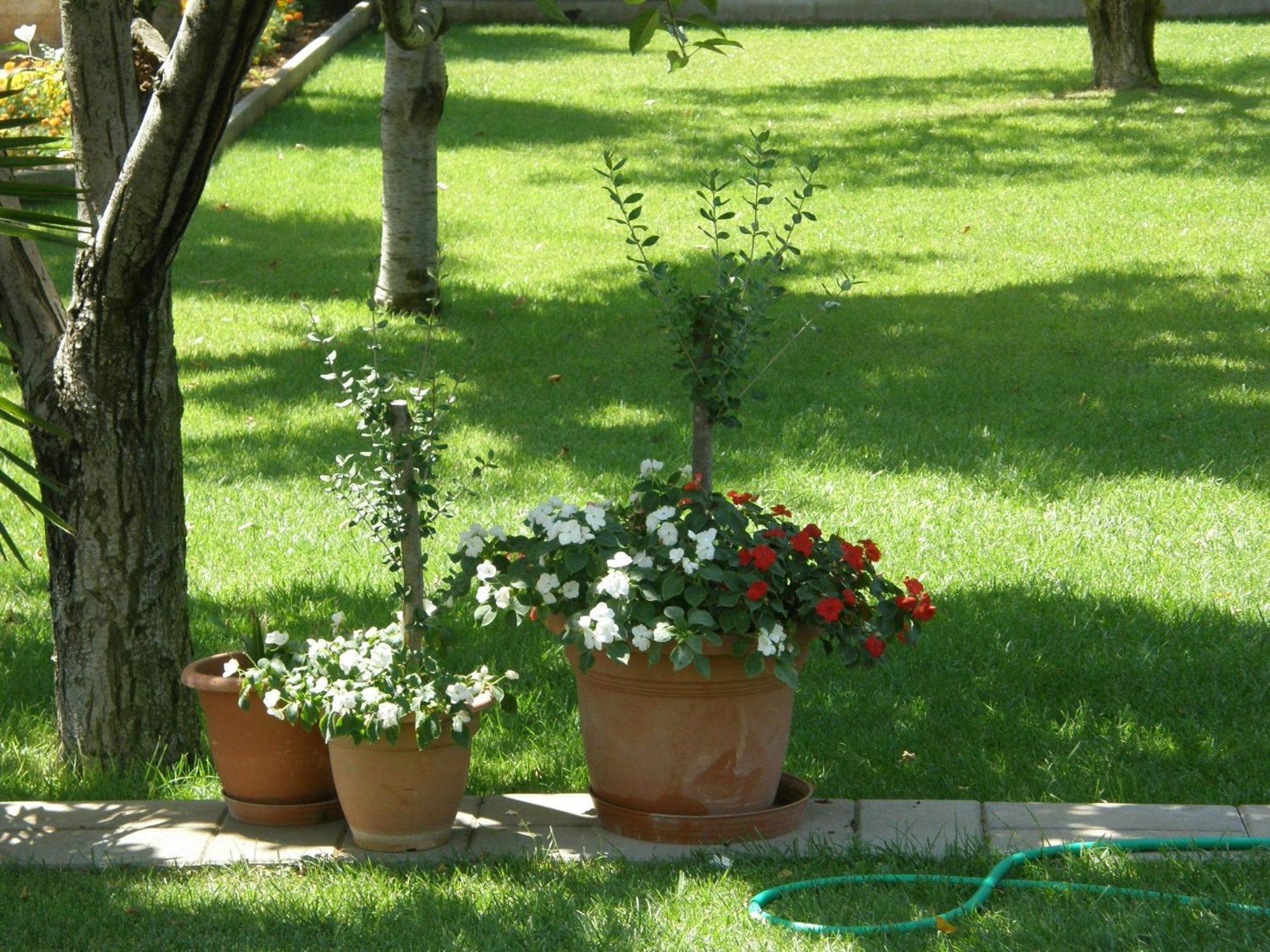 Villa Slavica 1 Vodice Ngoại thất bức ảnh