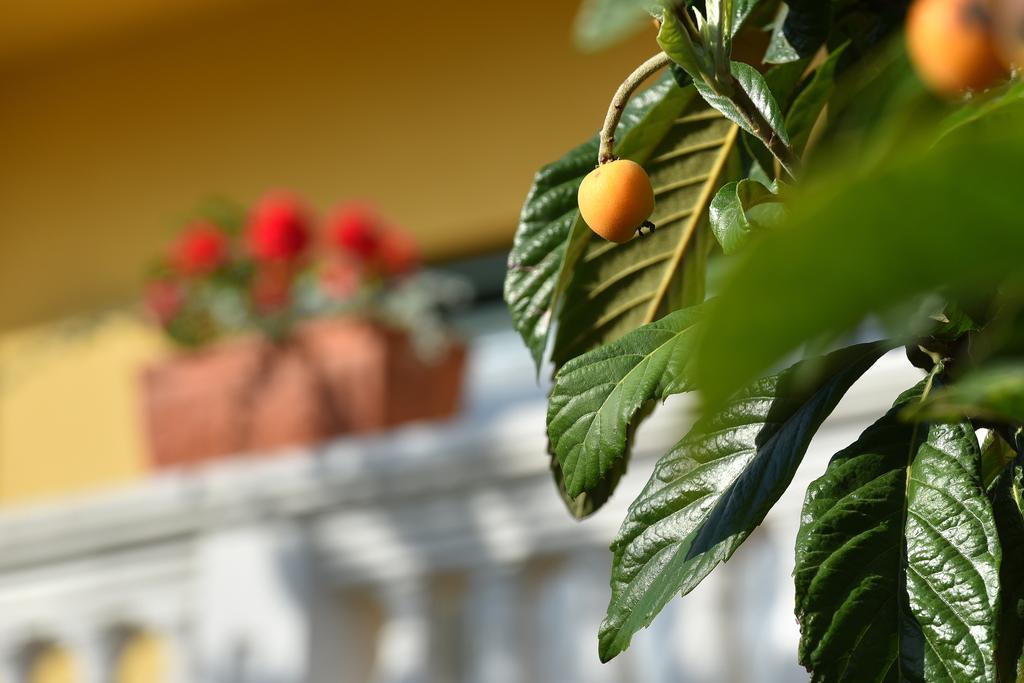 Villa Slavica 1 Vodice Ngoại thất bức ảnh